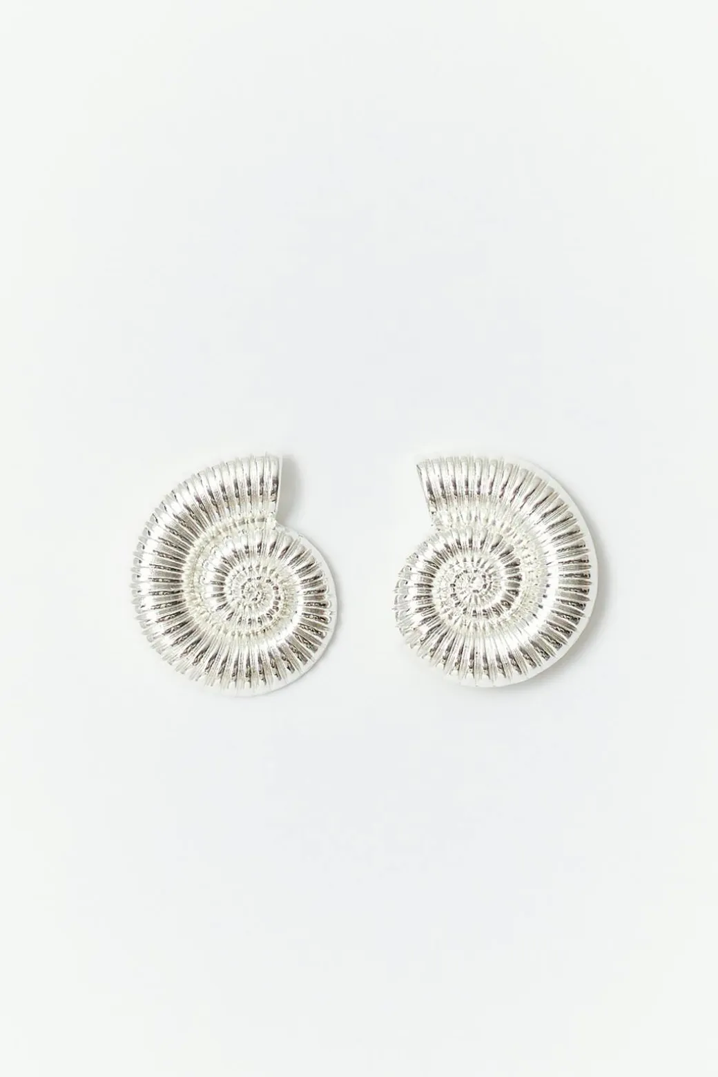 Sea shell earrings